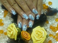 /album/nehtiky/modre-jpg/