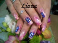 /album/nehtiky/motyli-jpg/