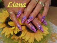 /album/nehtiky/a3-6-2009-jpg1/